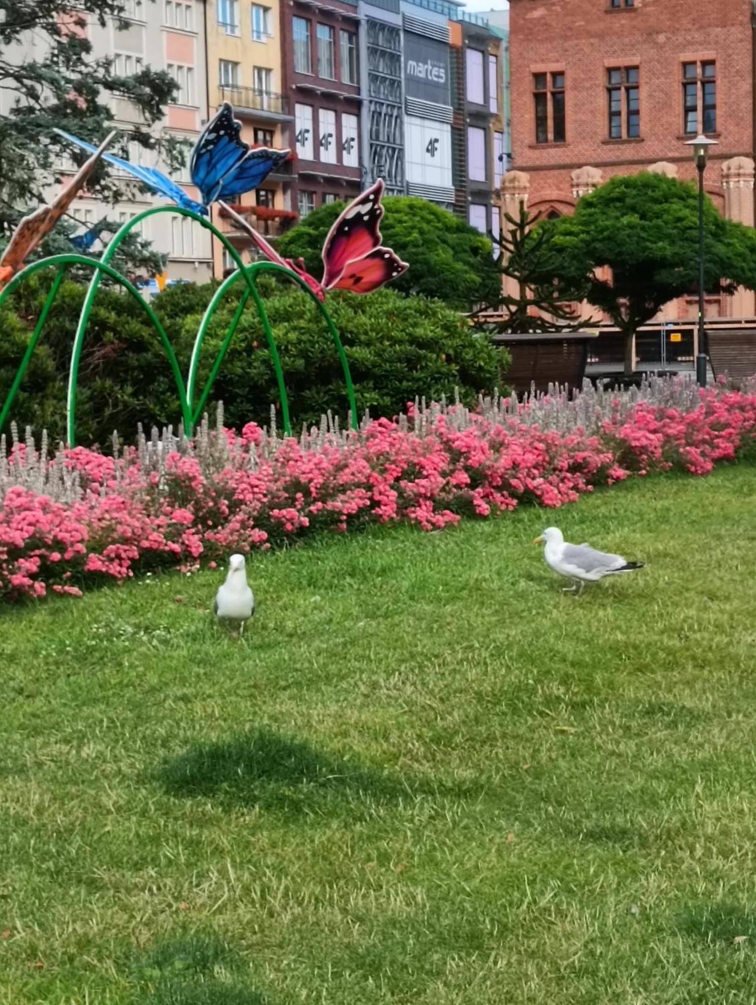 Apartament Ale Laba Kołobrzeg Eksteriør billede