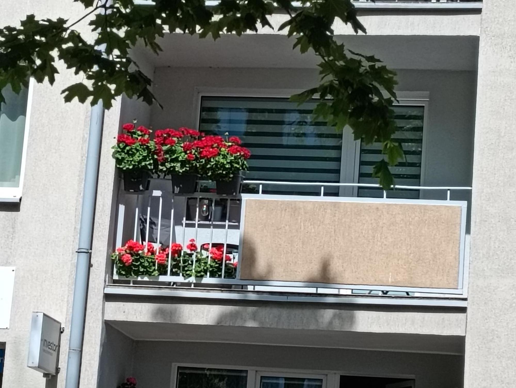 Apartament Ale Laba Kołobrzeg Eksteriør billede