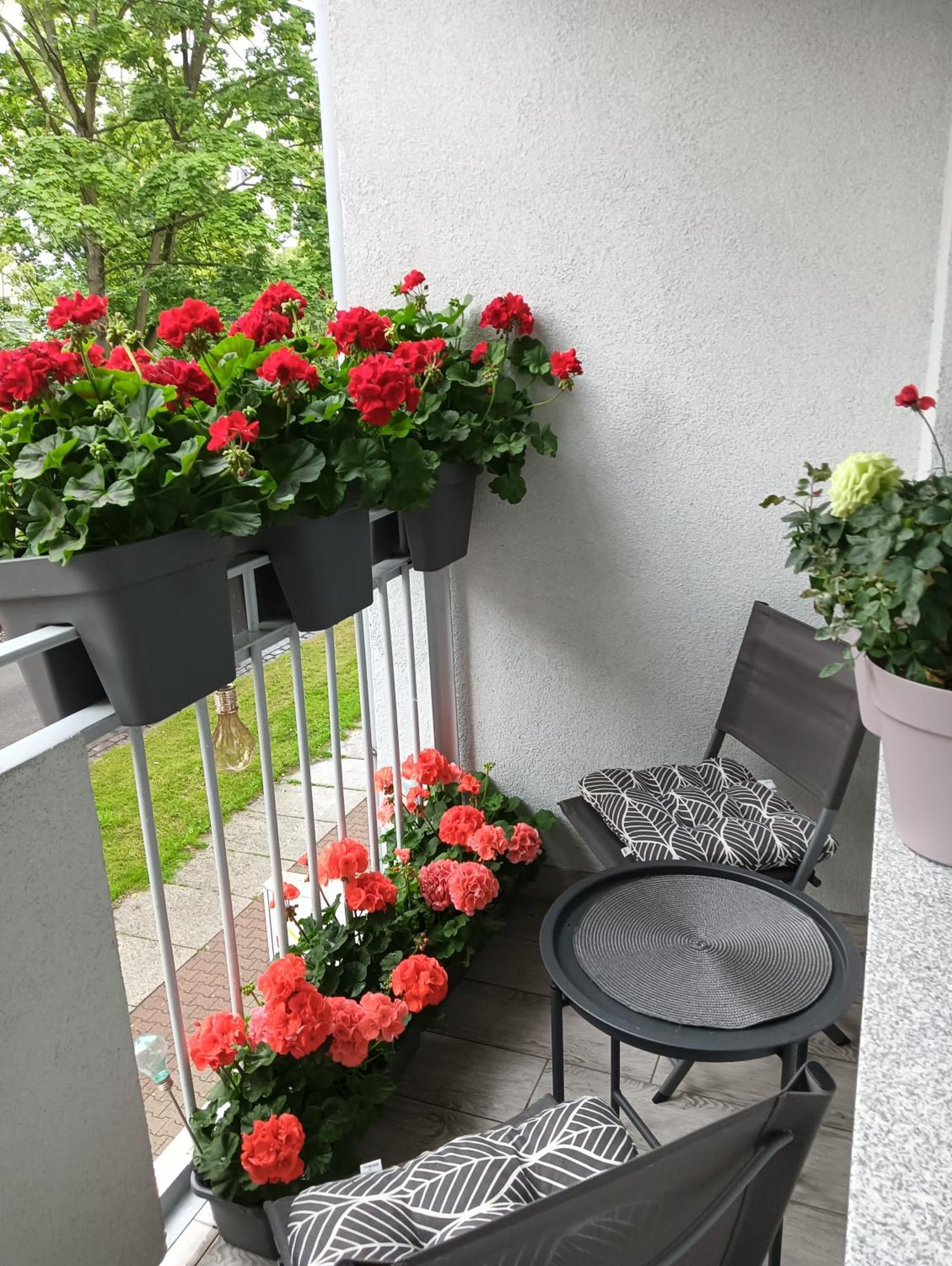 Apartament Ale Laba Kołobrzeg Eksteriør billede